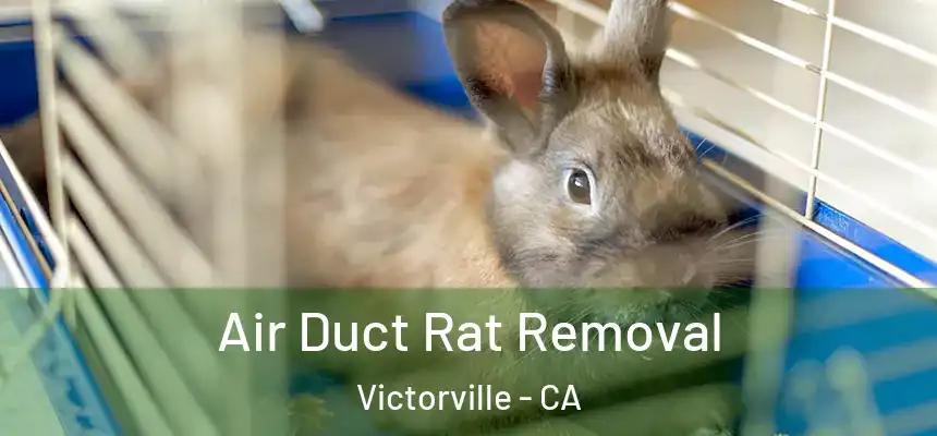 Air Duct Rat Removal Victorville - CA