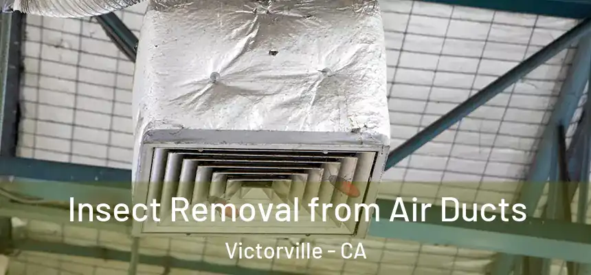 Insect Removal from Air Ducts Victorville - CA
