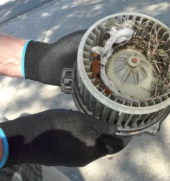 About Air Duct Rat Removal in Victorville, CA