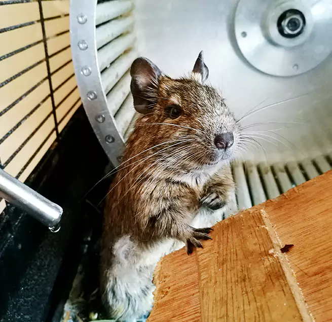 Why Homeowners & Businesses Trust Us Victorville, CA?