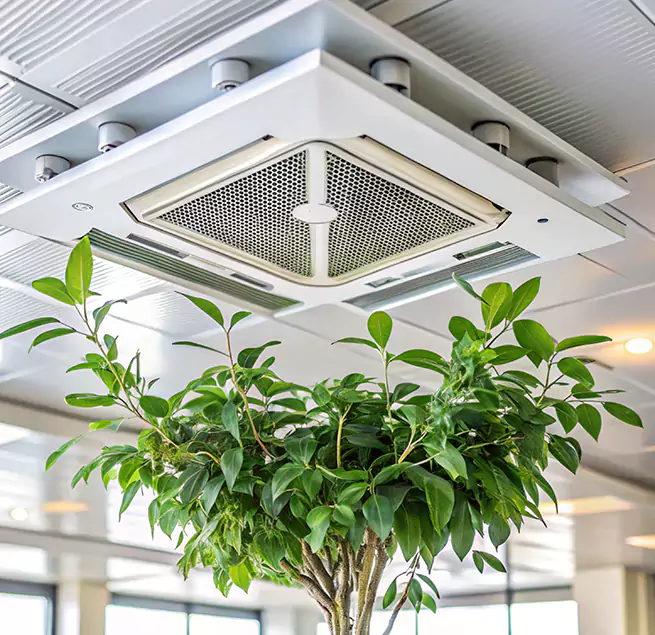 Why Homeowners & Businesses Trust Us in Victorville, CA?